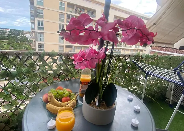 1 Piece Pointe De La Croisette A Apartment *
